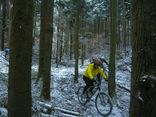 シルクロード　奈良　自転車