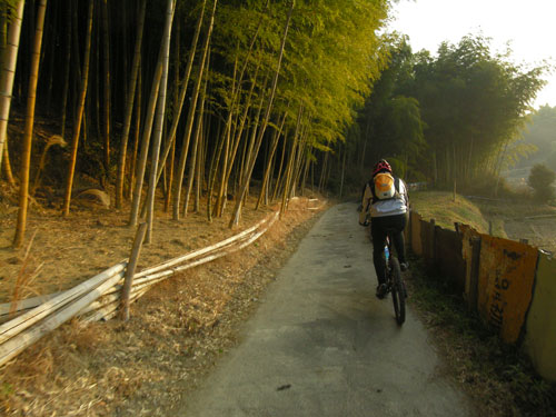 シルクロード　奈良　自転車