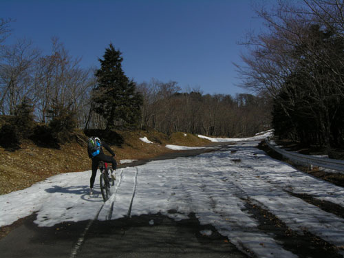 シルクロード　奈良　自転車