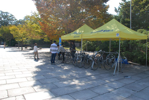 シルクロード　奈良　自転車