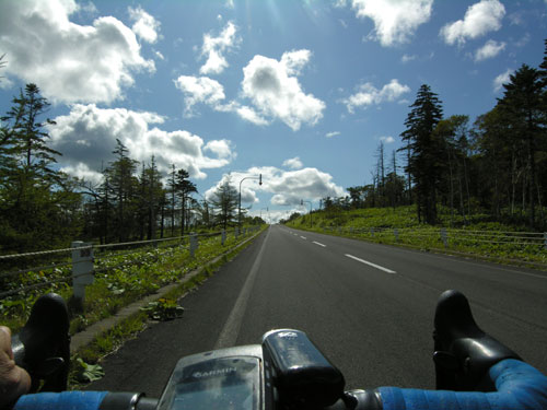 シルクロード　奈良　自転車