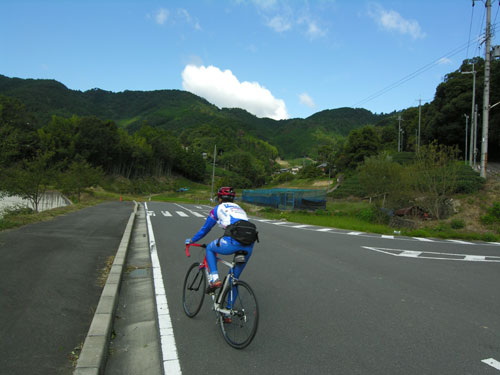 シルクロード　奈良　自転車