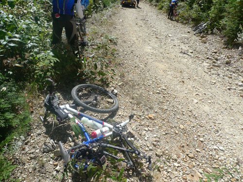 シルクロード 奈良 自転車