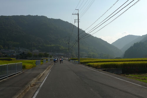 シルクロード 奈良 自転車