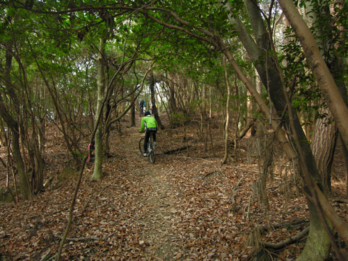MTB@VN[h@VOgbN