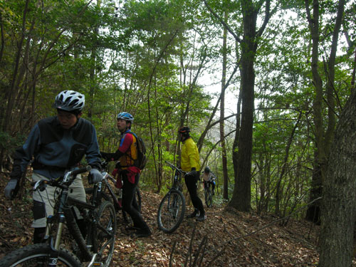 MTB@VN[h@VOgbN